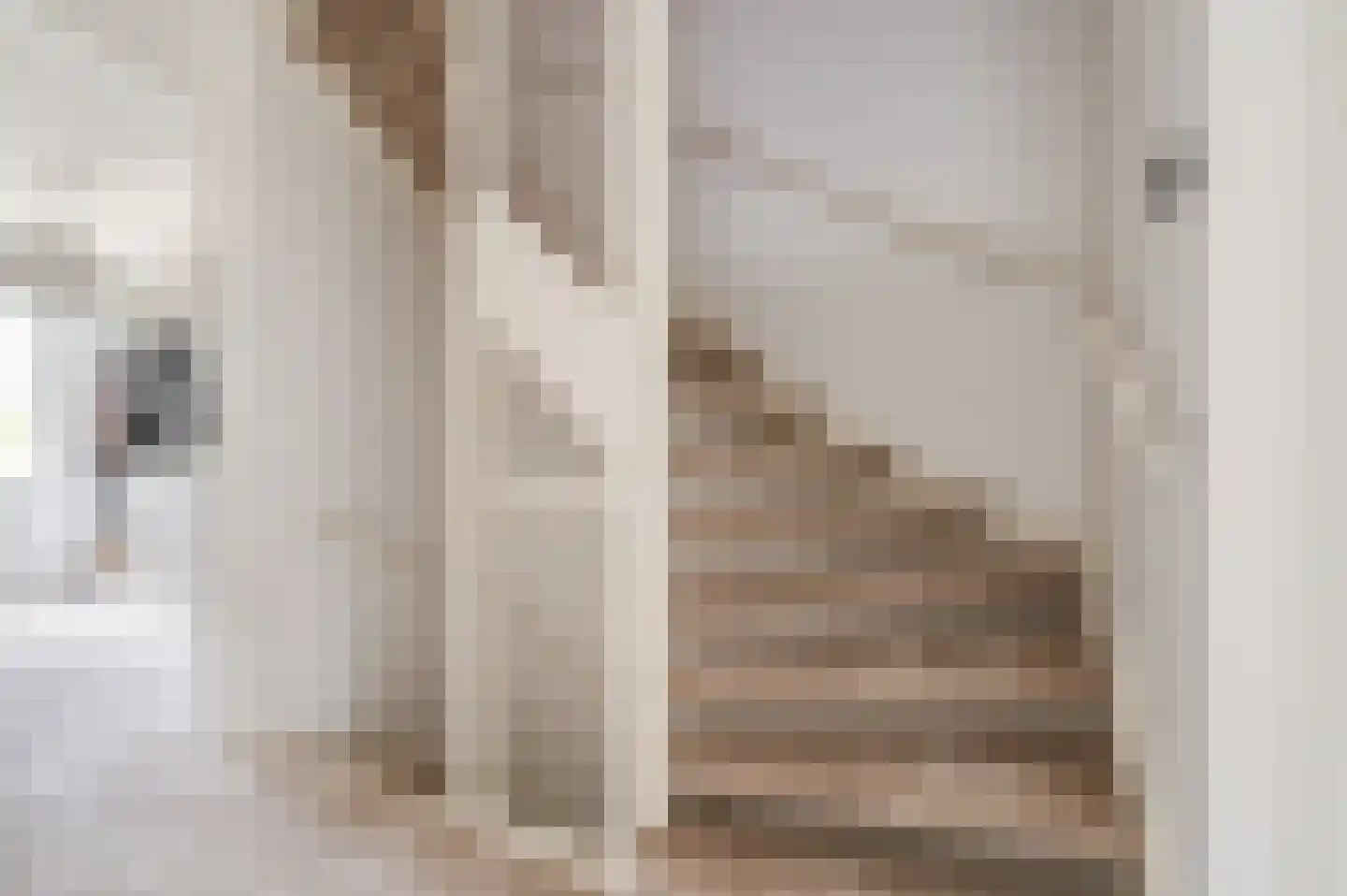 Argusvlinderstraat 28 Rijswijk thumbnail 42