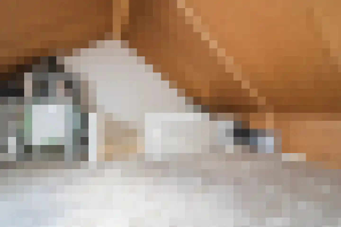 Argusvlinderstraat 28 Rijswijk thumbnail 46