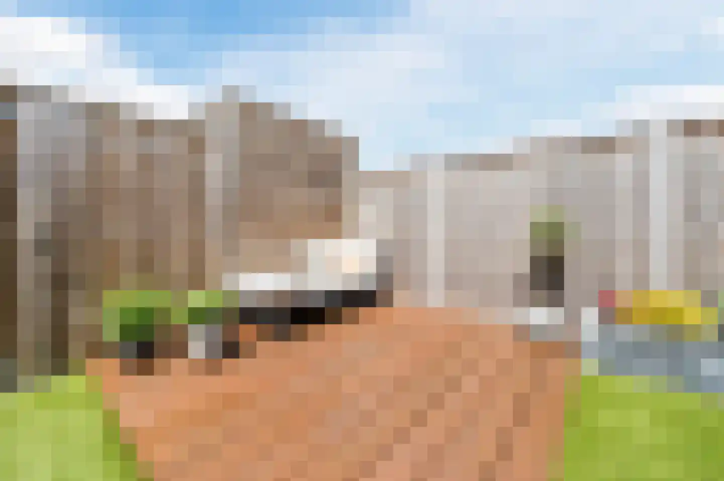 Argusvlinderstraat 28 Rijswijk thumbnail 50