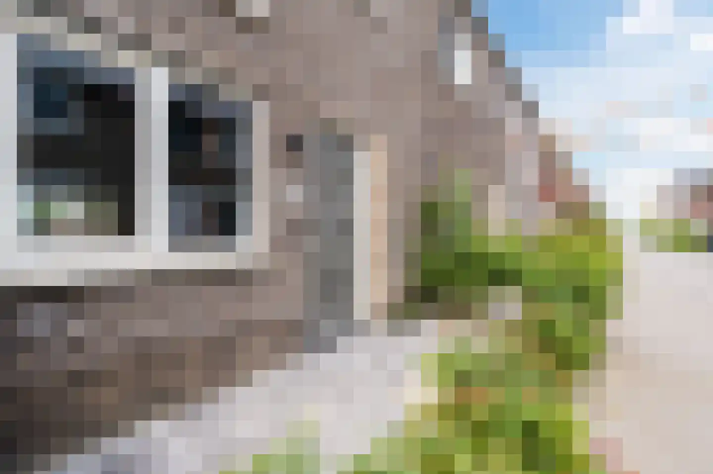 Argusvlinderstraat 28 Rijswijk thumbnail 55