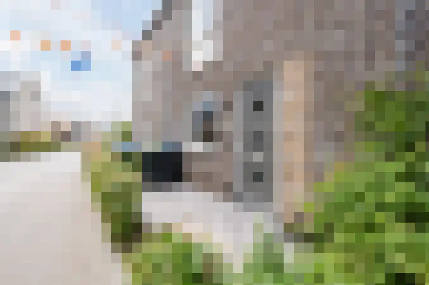 Argusvlinderstraat 28 Rijswijk thumbnail 56
