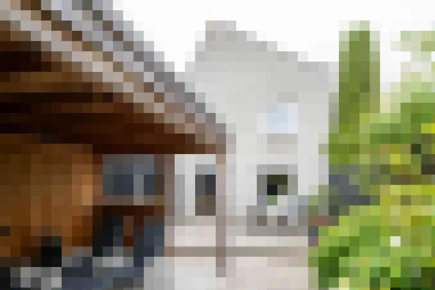 Arhusstraat 15 Hengelo thumbnail 33