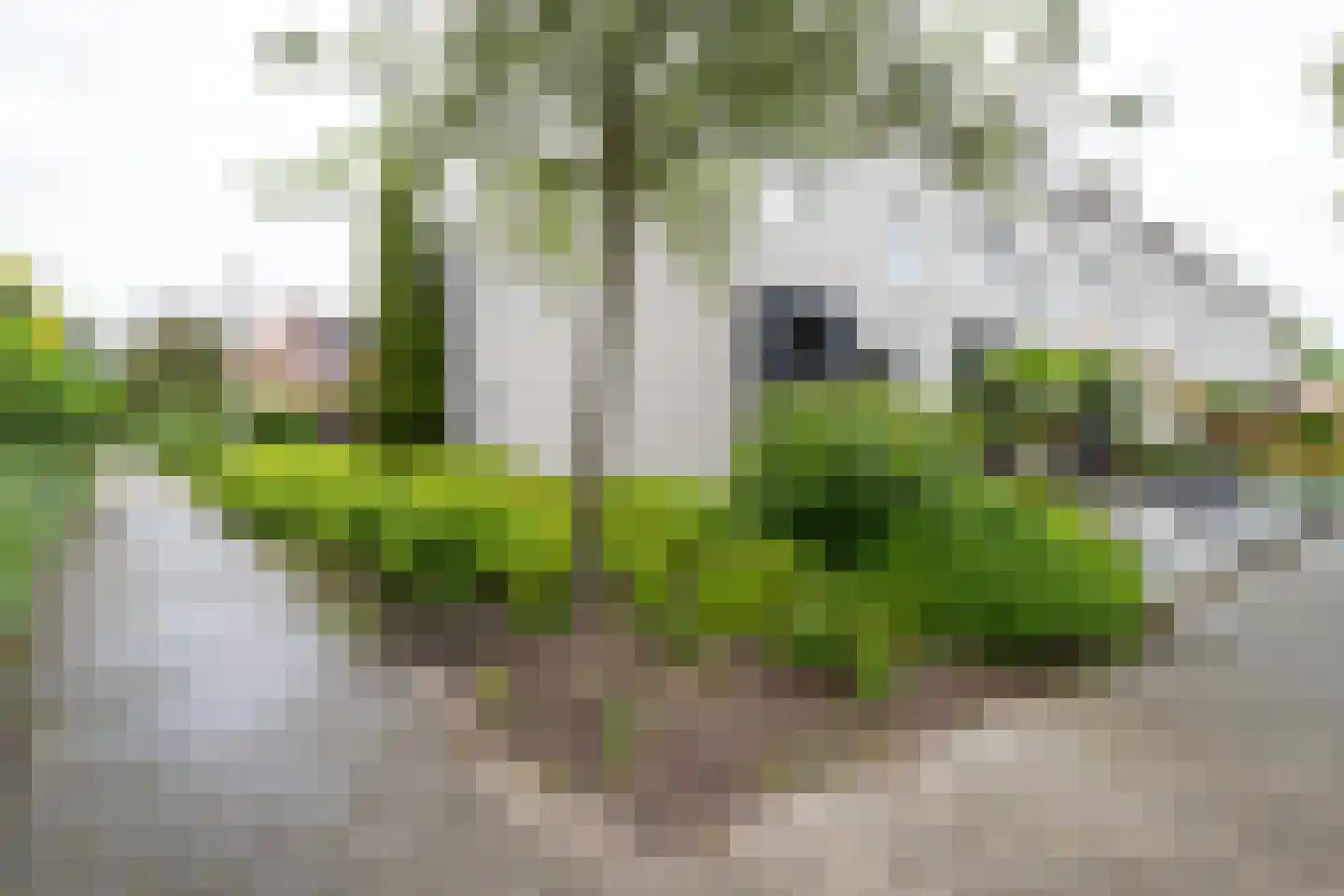 Arhusstraat 15 Hengelo thumbnail 39