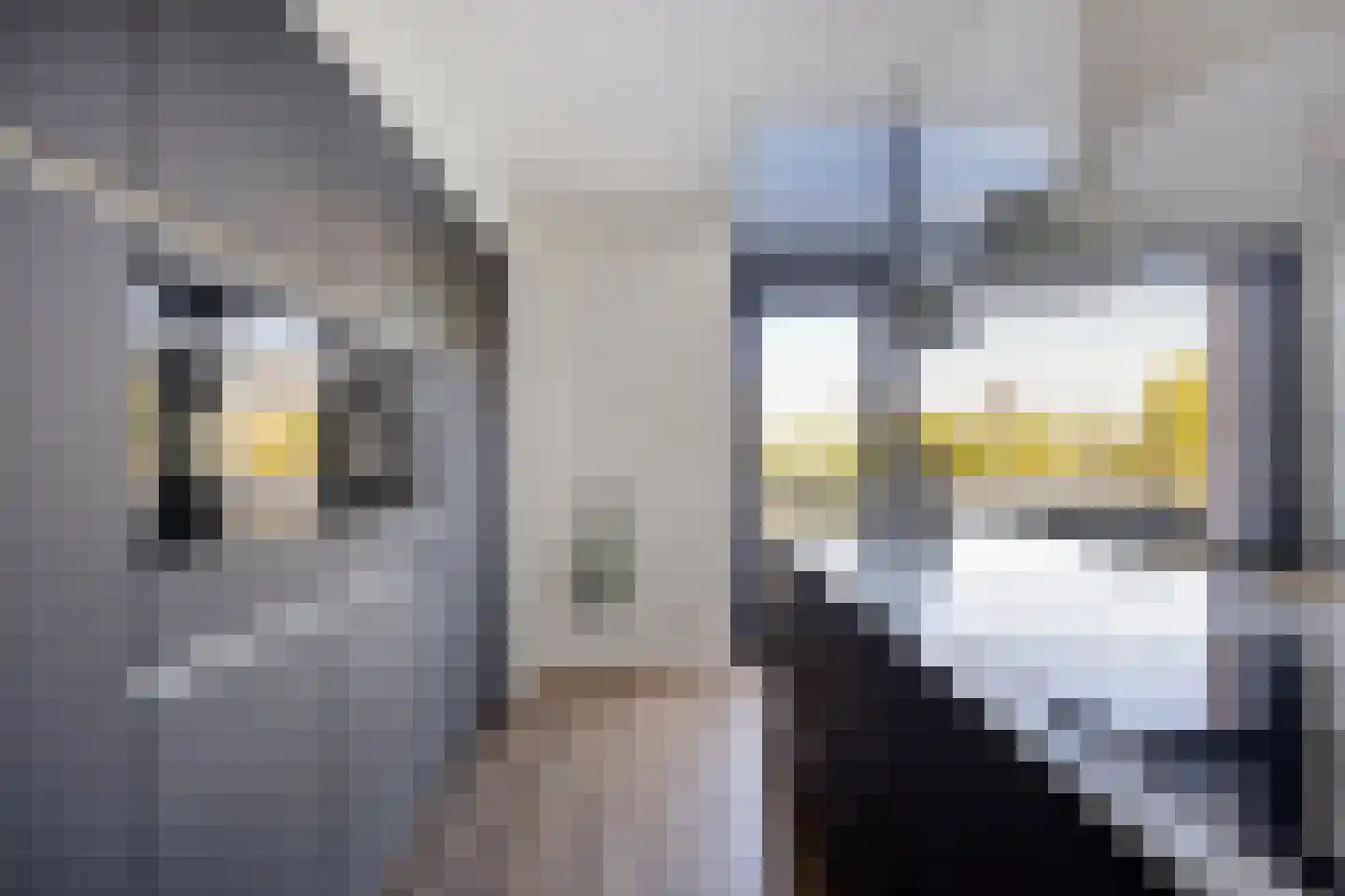Aria 18 Zaandam thumbnail 12