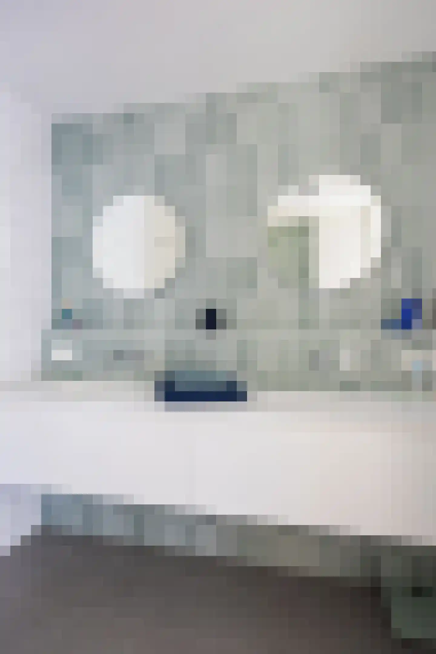 Aria 18 Zaandam thumbnail 38