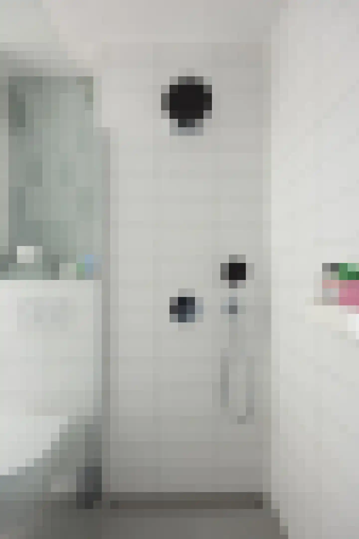 Aria 18 Zaandam thumbnail 39