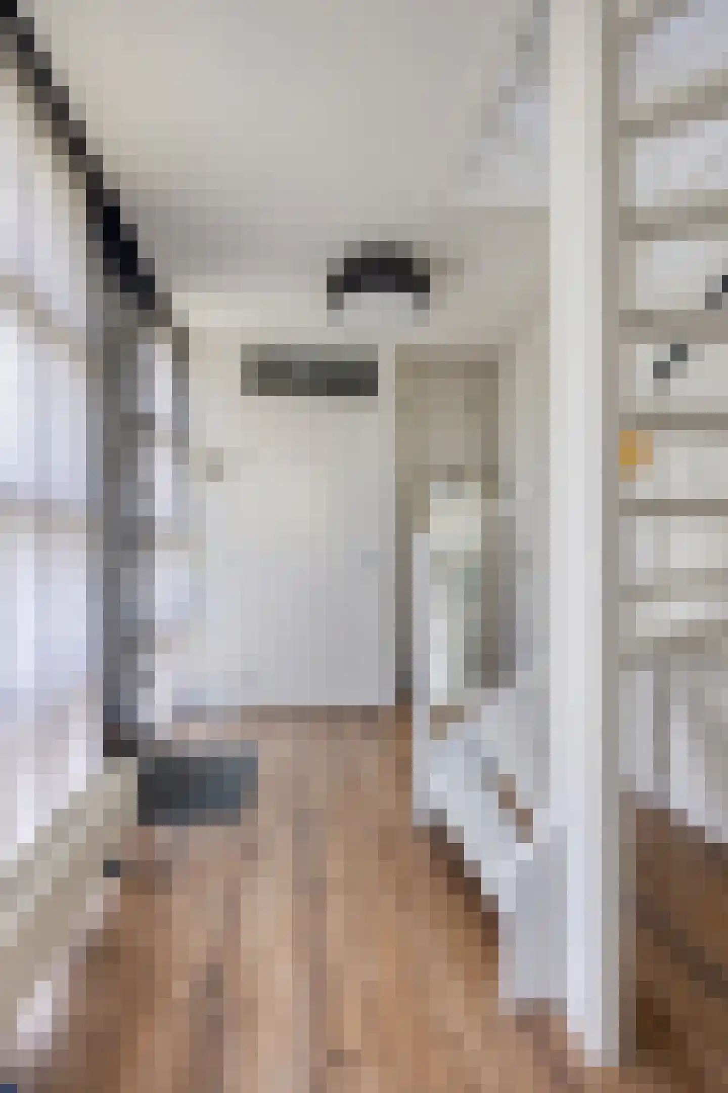 Aria 18 Zaandam thumbnail 7
