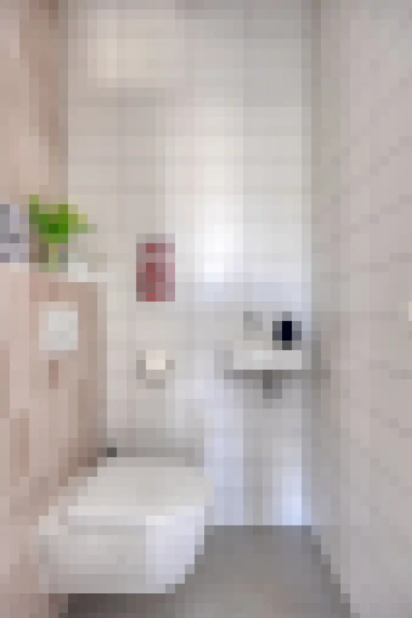 Aria 18 Zaandam thumbnail 8