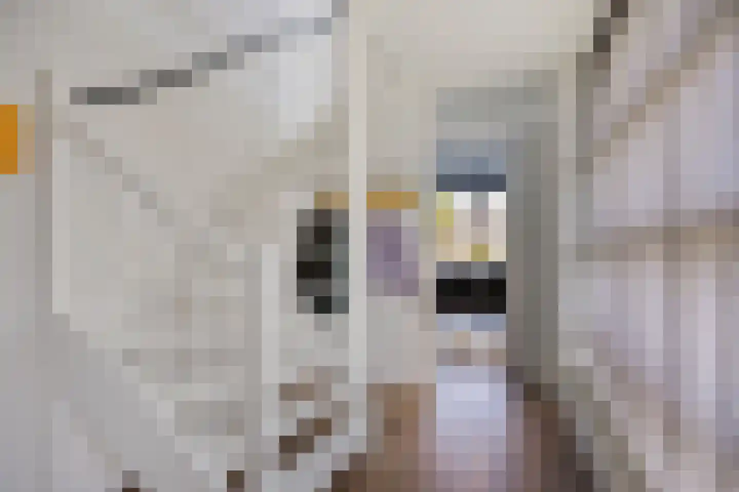 Aria 18 Zaandam thumbnail 9