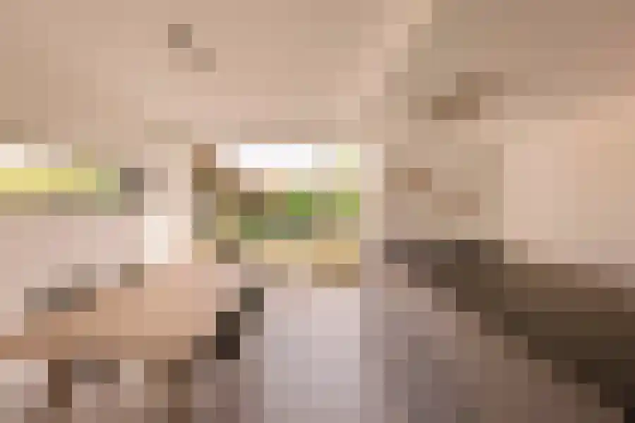 Aria 36 Zaandam thumbnail 8