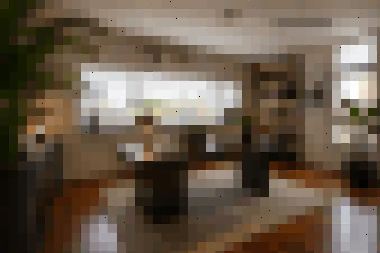 Aria 44 Zaandam thumbnail 16