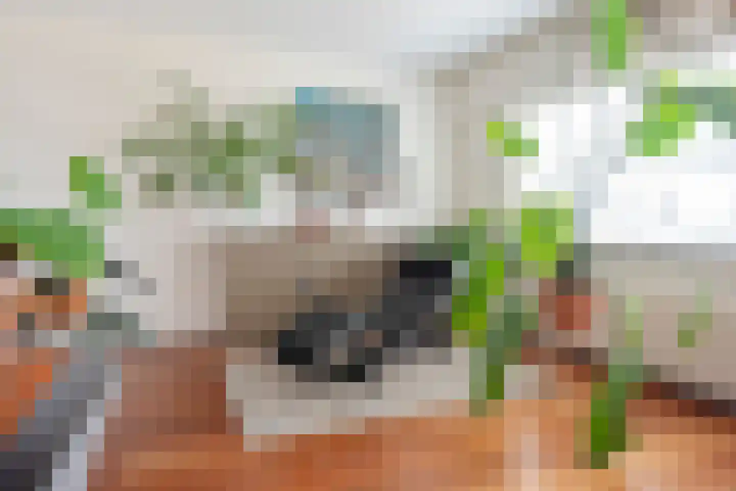 Aria 44 Zaandam thumbnail 17