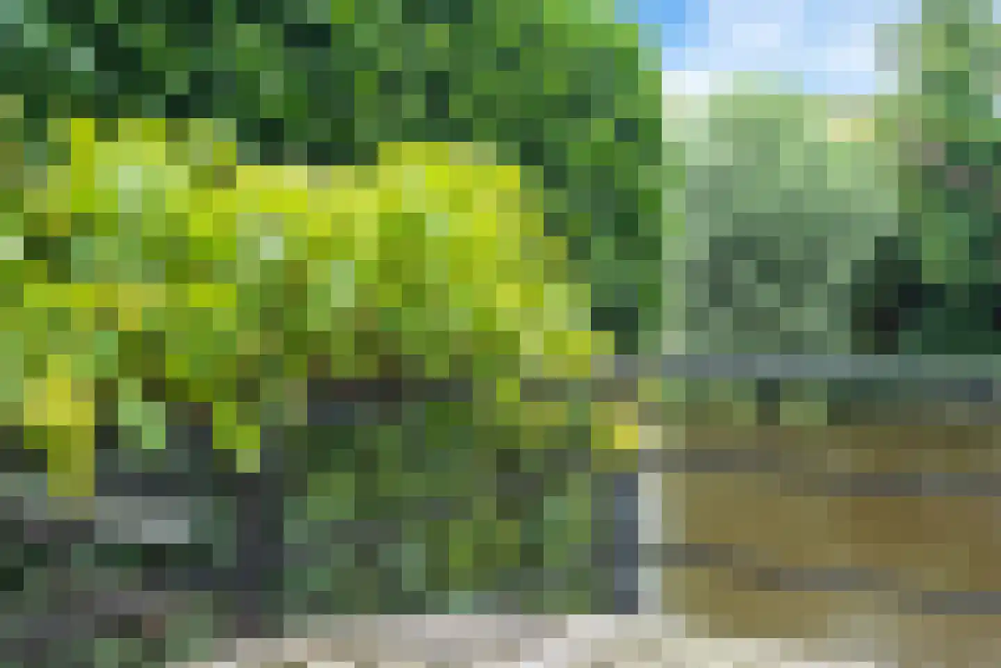 Aria 44 Zaandam thumbnail 34