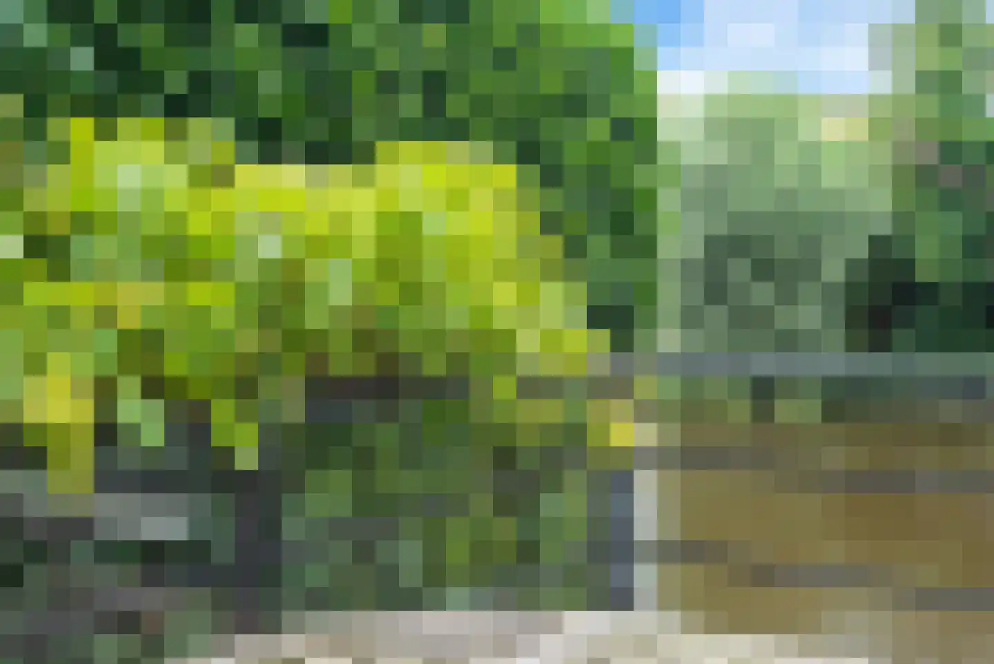 Aria 44 Zaandam thumbnail 34