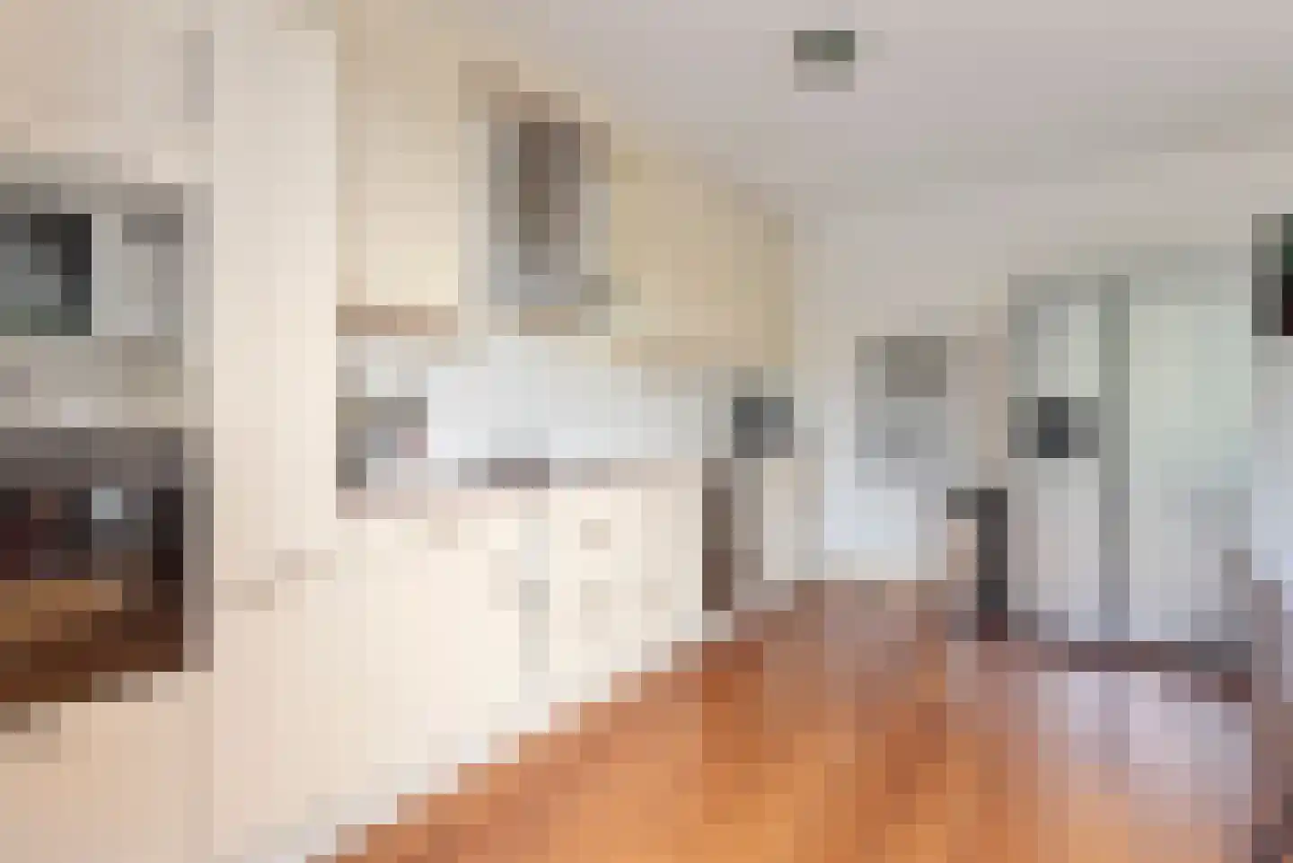 Aria 44 Zaandam thumbnail 4