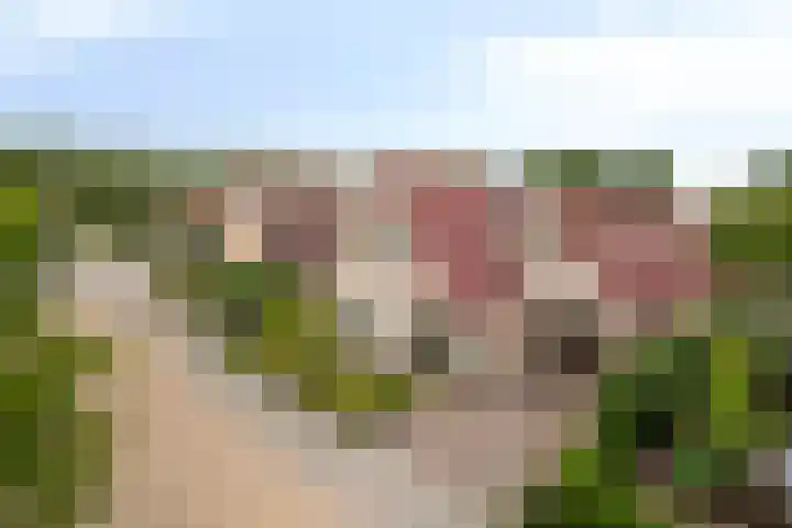 Aria 7 Kampen thumbnail 12