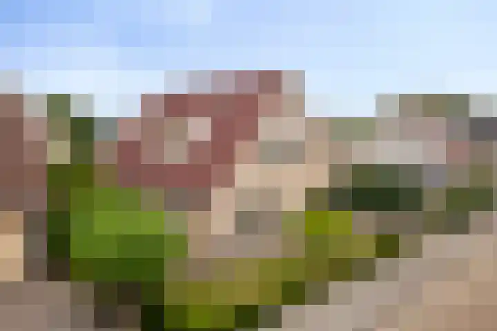Aria 7 Kampen thumbnail 13
