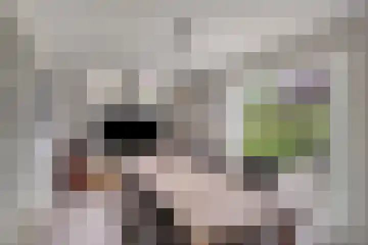 Aria 7 Kampen thumbnail 21