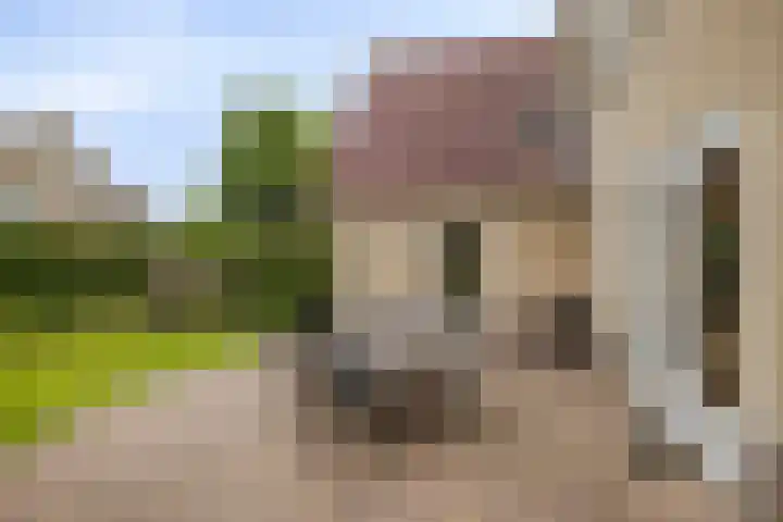 Aria 7 Kampen thumbnail 45