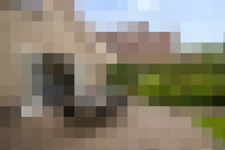 Aria 7 Kampen thumbnail 47