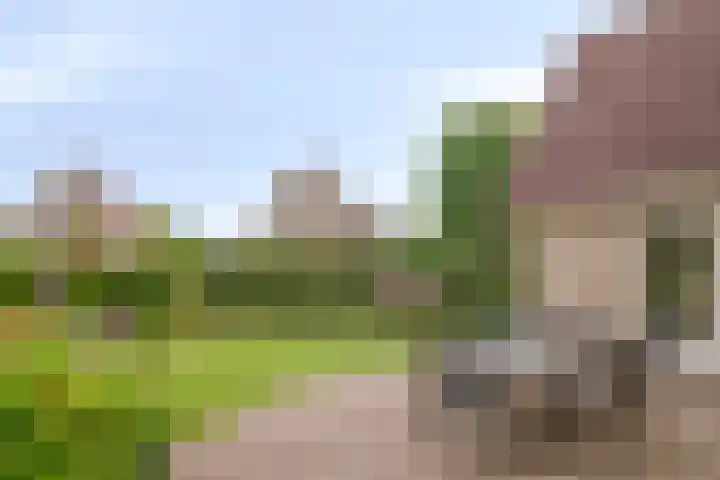 Aria 7 Kampen thumbnail 49