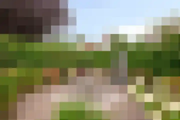 Aria 7 Kampen thumbnail 51