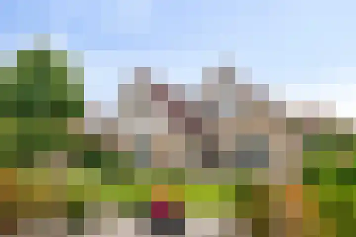 Aria 7 Kampen thumbnail 52