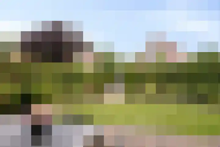 Aria 7 Kampen thumbnail 6
