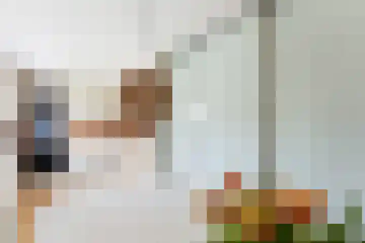 Ariadnestraat 14 Rotterdam thumbnail 19