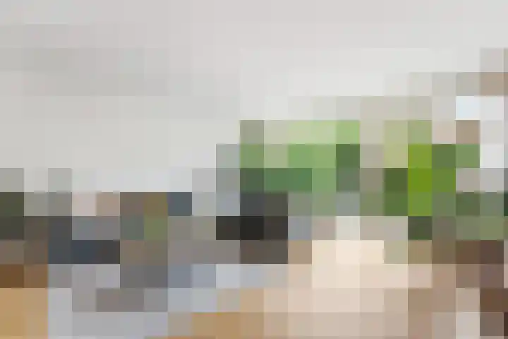 Ariadnestraat 14 Rotterdam thumbnail 7