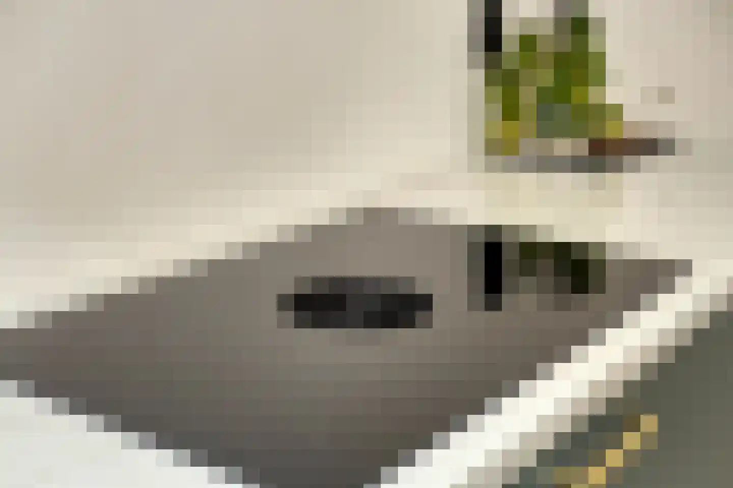 Ariadnestraat 20 Rotterdam thumbnail 11