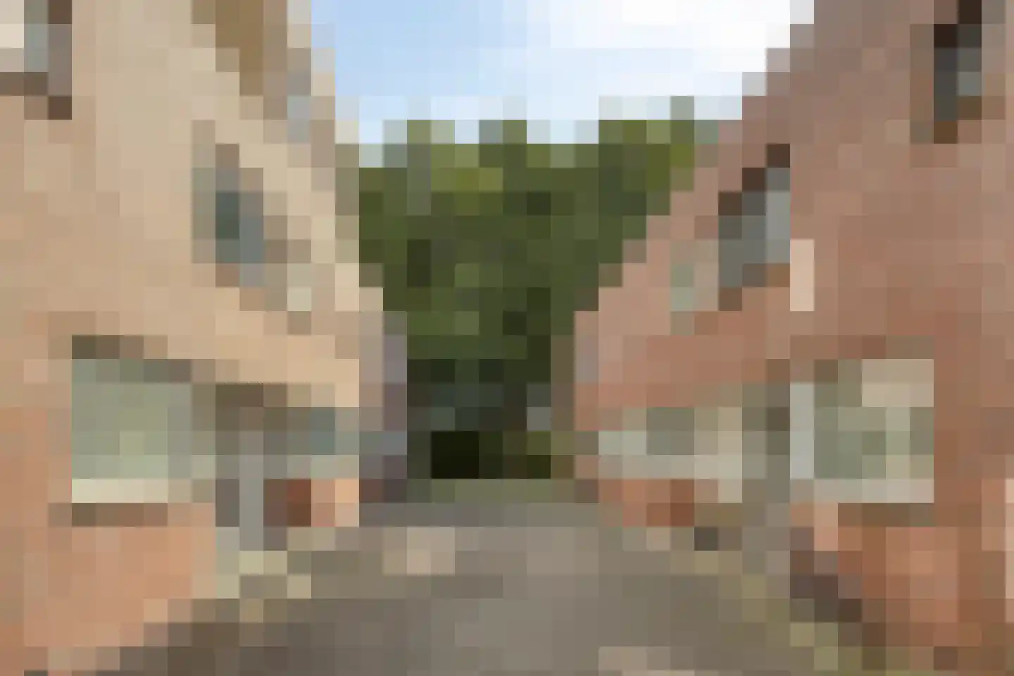 Ariadnestraat 20 Rotterdam thumbnail 28