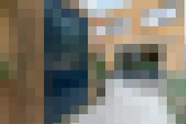 Ariadnestraat 26 Rotterdam thumbnail 17