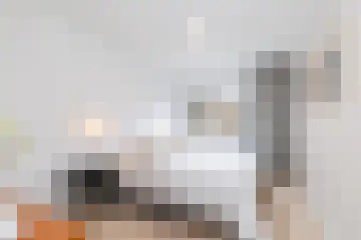 Ariadnestraat 26 Rotterdam thumbnail 22