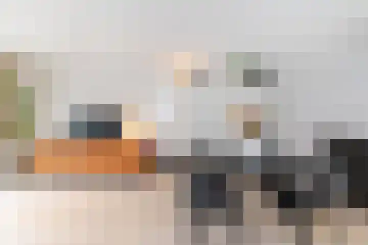 Ariadnestraat 26 Rotterdam thumbnail 4