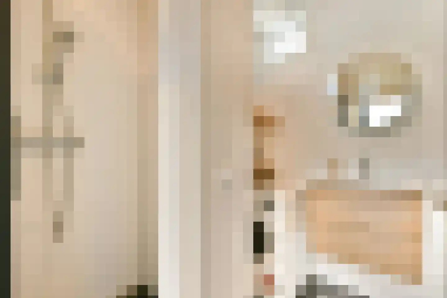 Ariana Nozemanstraat 13 2 Amsterdam thumbnail 19