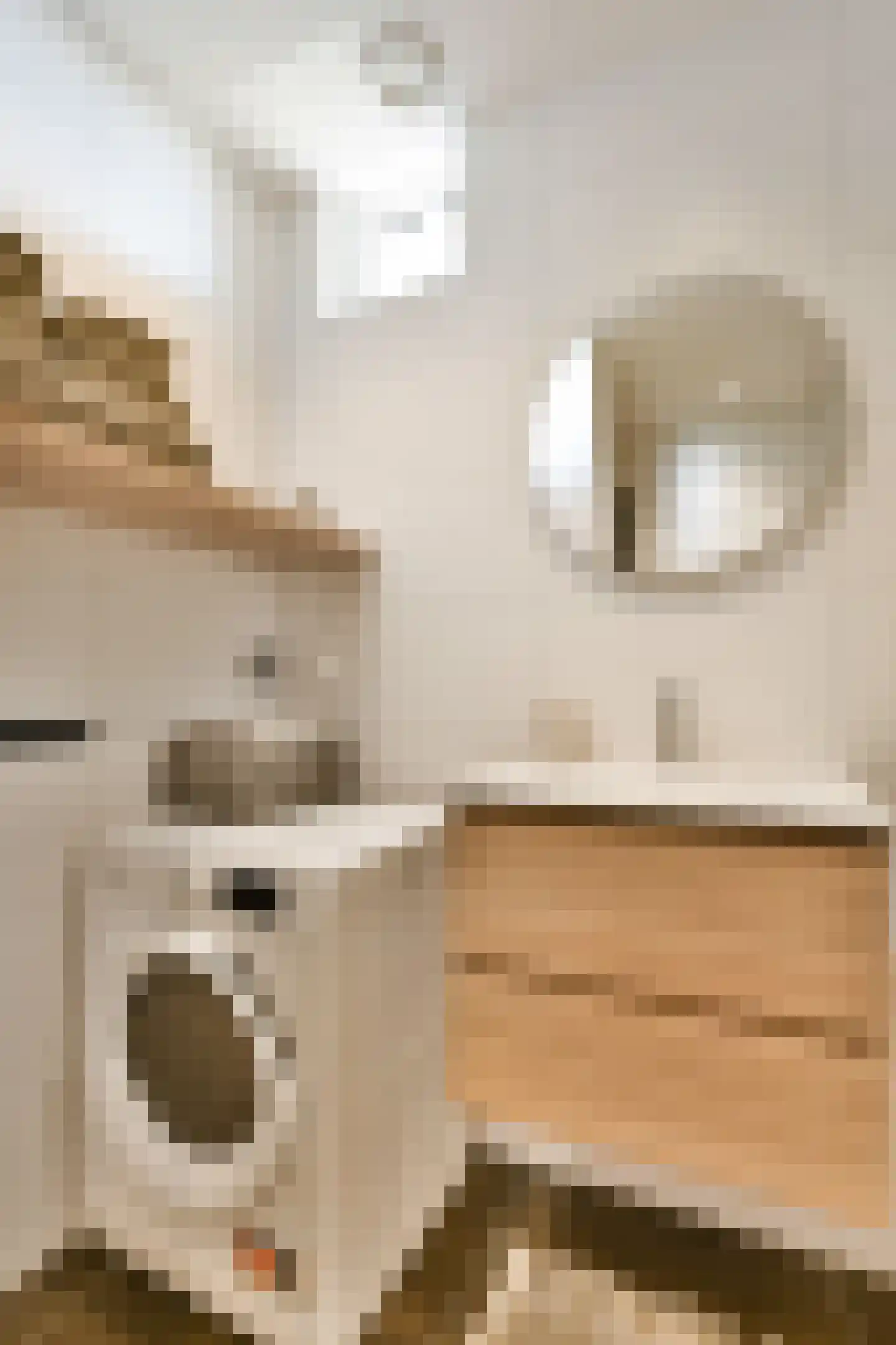 Ariana Nozemanstraat 13 2 Amsterdam thumbnail 21