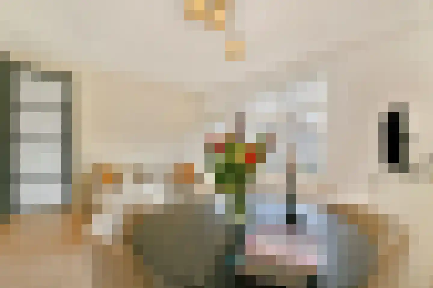 Ariana Nozemanstraat 13 2 Amsterdam thumbnail 5