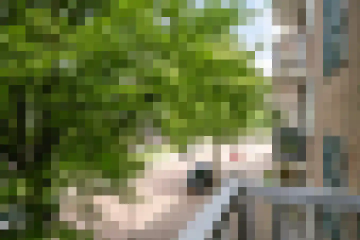 Ariana Nozemanstraat 15 1 Amsterdam thumbnail 11