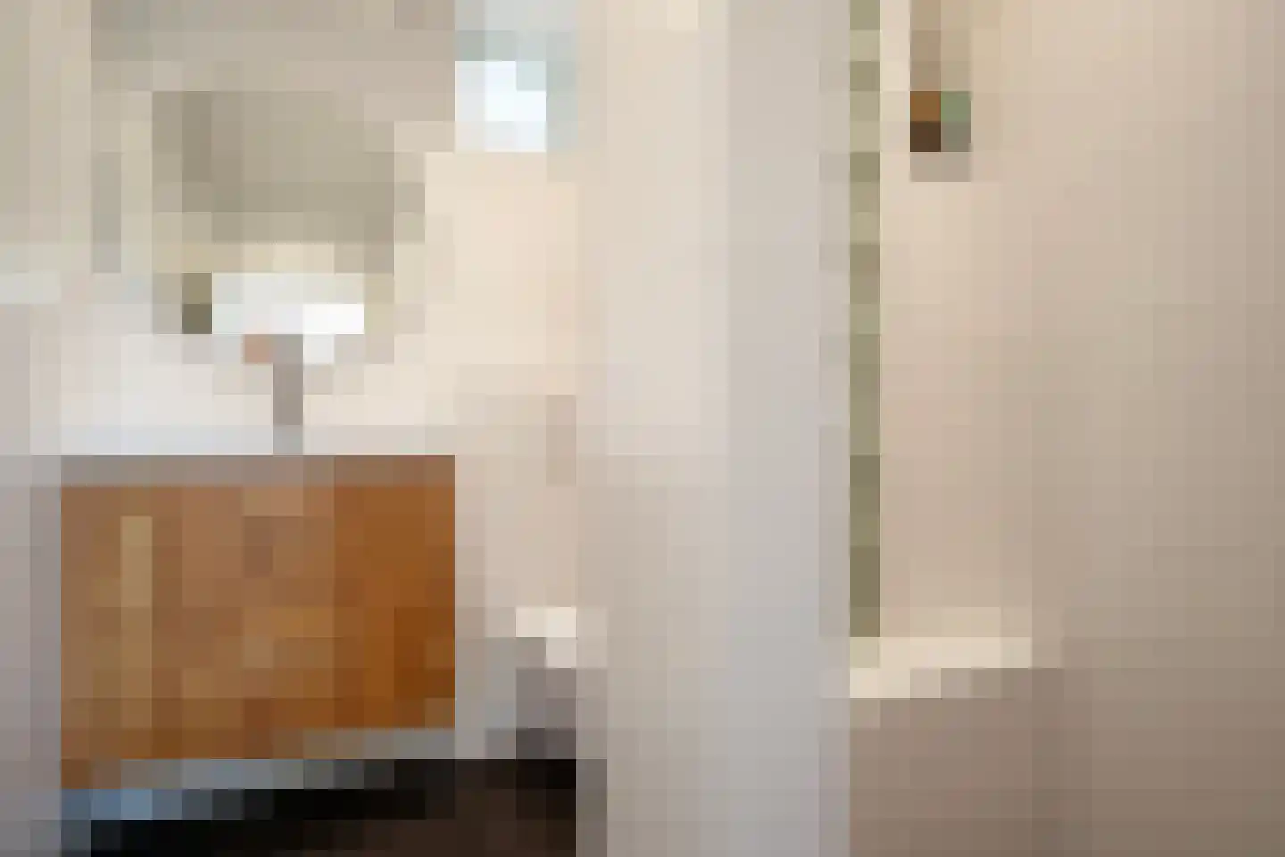 Ariana Nozemanstraat 15 1 Amsterdam thumbnail 12