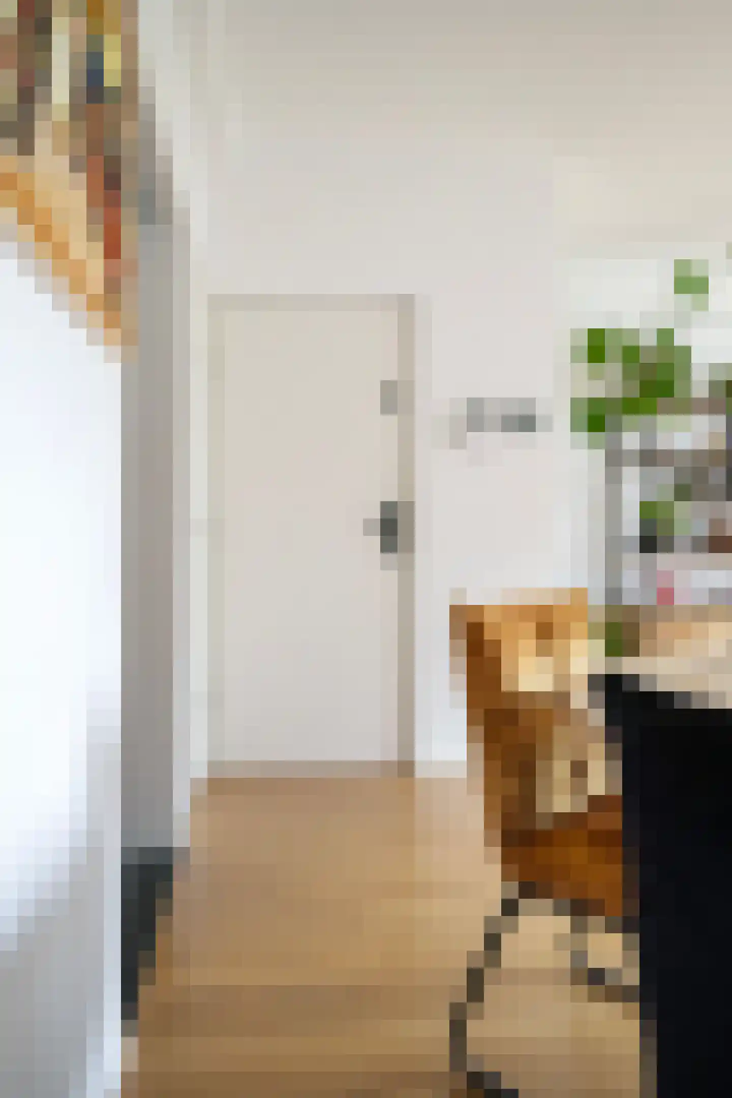 Ariana Nozemanstraat 15 1 Amsterdam thumbnail 4