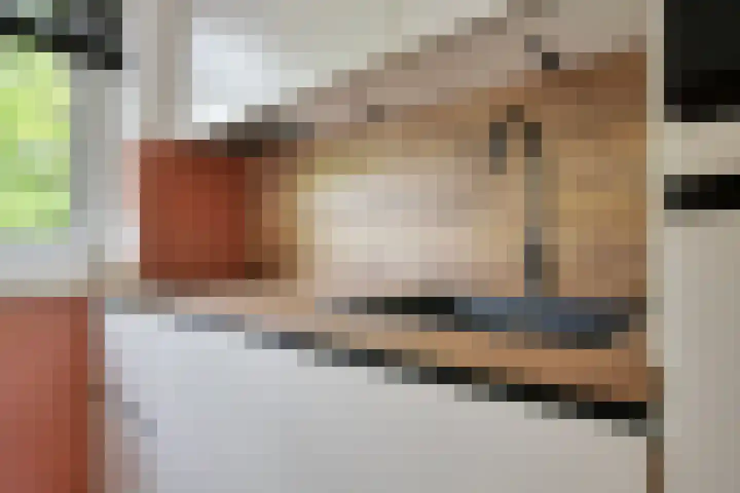 Ariana Nozemanstraat 15 1 Amsterdam thumbnail 8