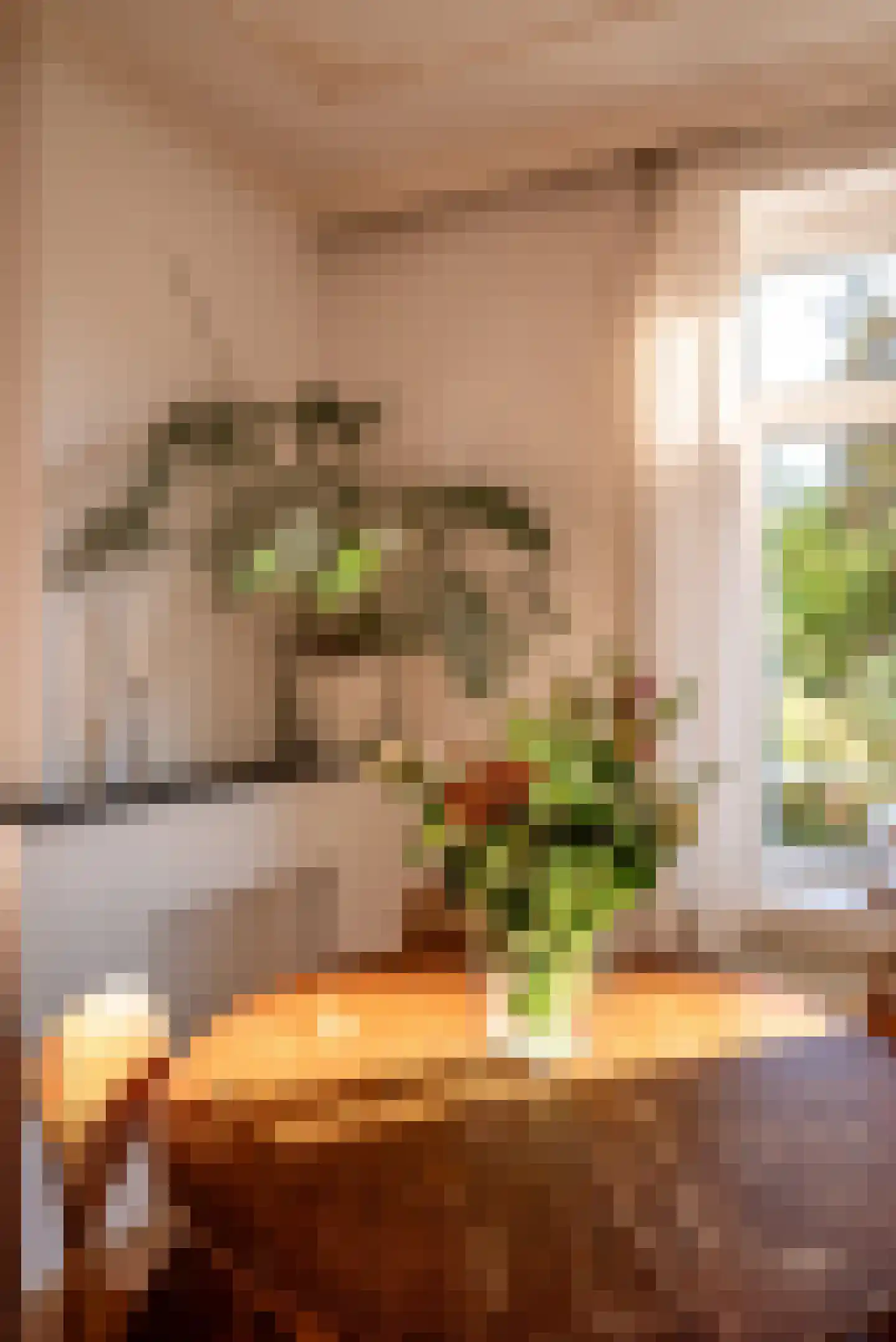 Ariana Nozemanstraat 15 H Amsterdam thumbnail 10