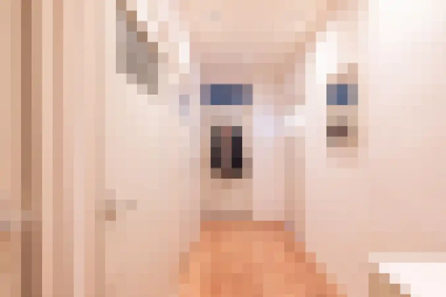 Ariana Nozemanstraat 15 H Amsterdam thumbnail 24