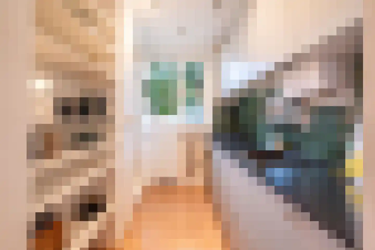 Ariana Nozemanstraat 15 H Amsterdam thumbnail 25