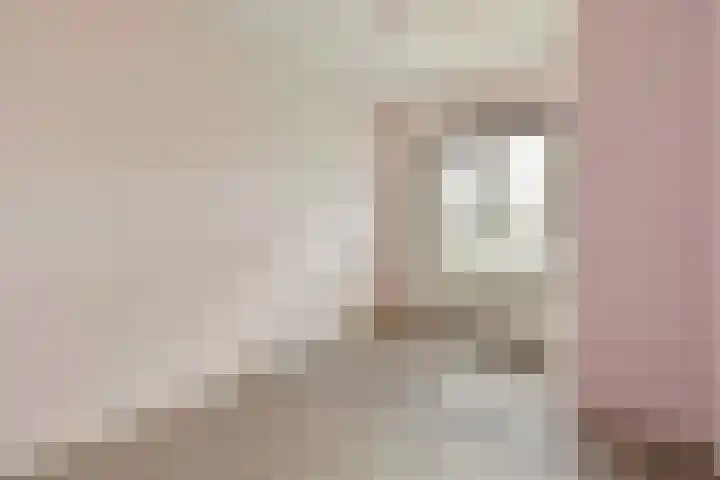 Ariana Nozemanstraat 15 H Amsterdam thumbnail 5