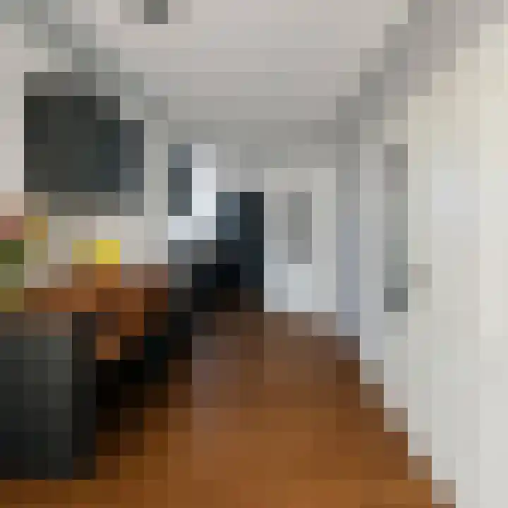 Ariana Nozemanstraat 29 Amsterdam thumbnail 10