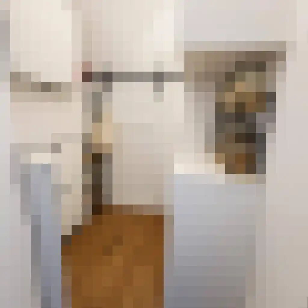 Ariana Nozemanstraat 29 Amsterdam thumbnail 11