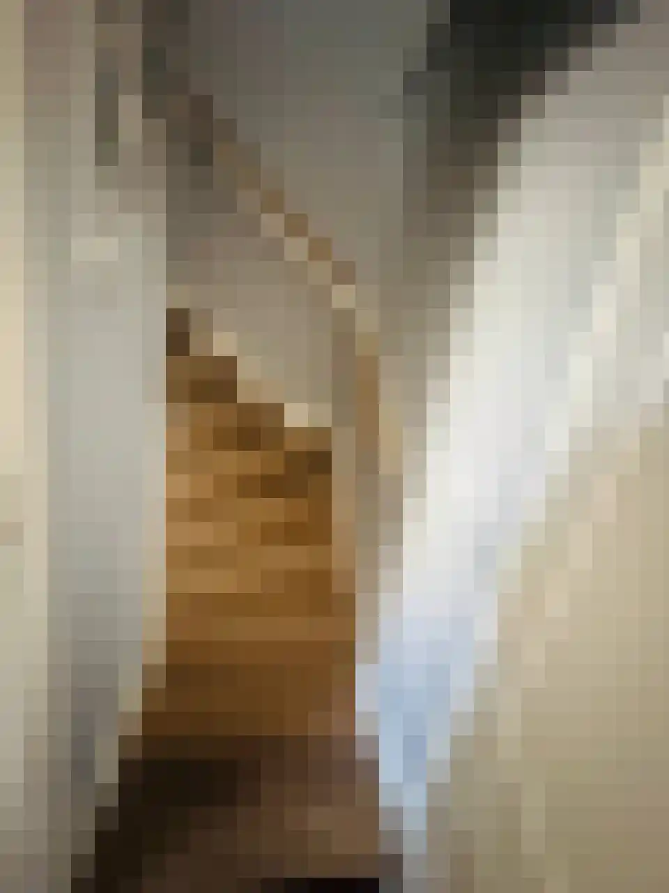 Ariana Nozemanstraat 29 Amsterdam thumbnail 12