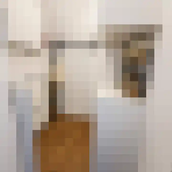 Ariana Nozemanstraat 29 Amsterdam thumbnail 12